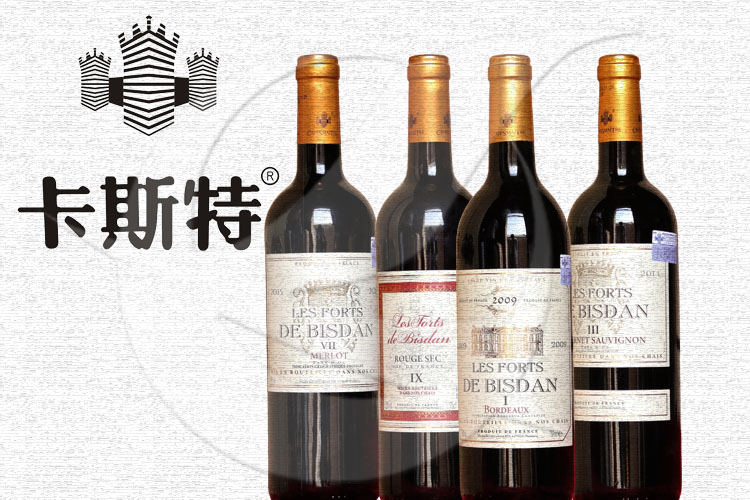进口葡萄酒卡斯特干红