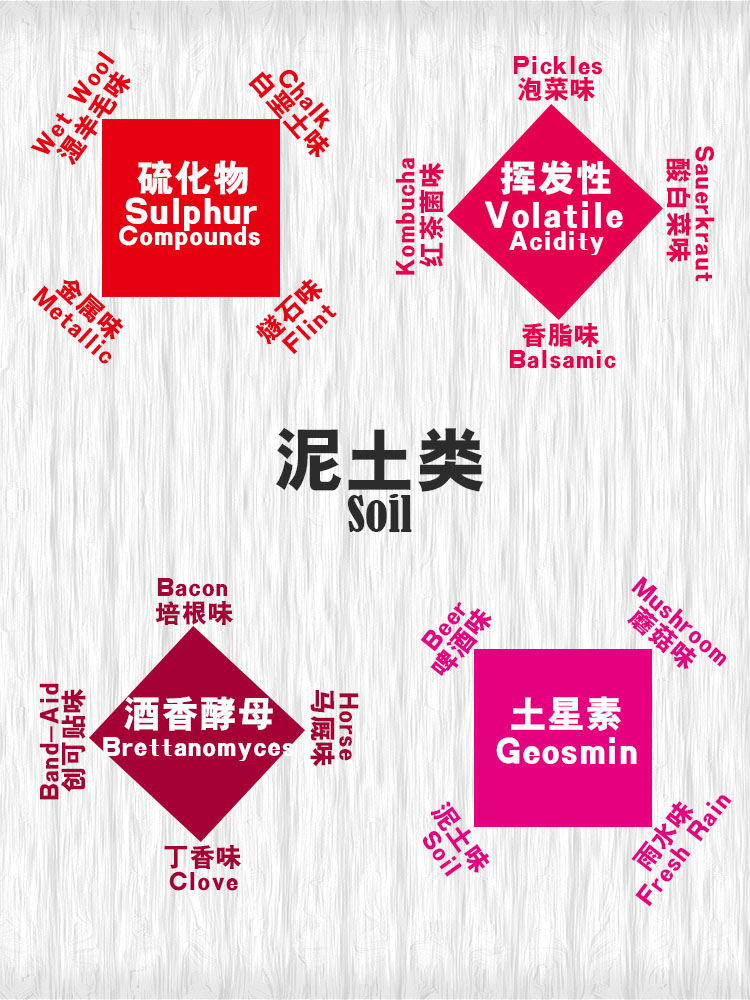 揭秘葡萄酒的风味来源：泥土类
