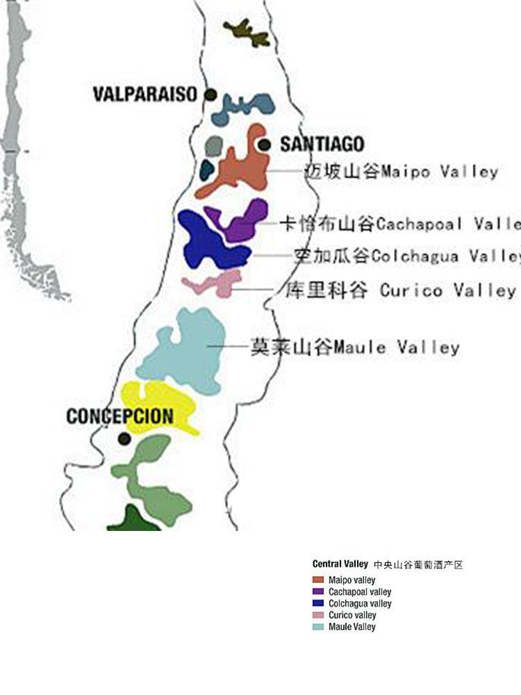 智利葡萄酒产区中央山谷（Central Valley）